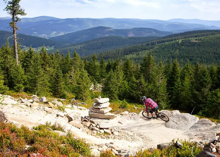 Appartement Czarna Gora 216